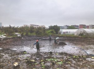 德阳河道鱼塘清淤